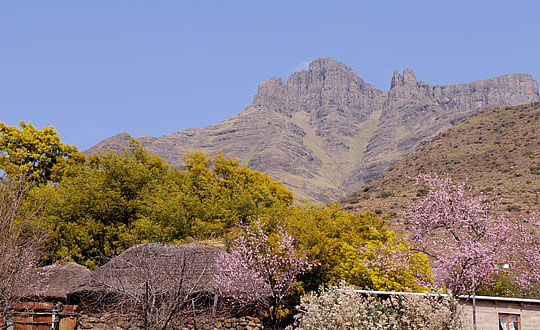 女孩小名萌一點的