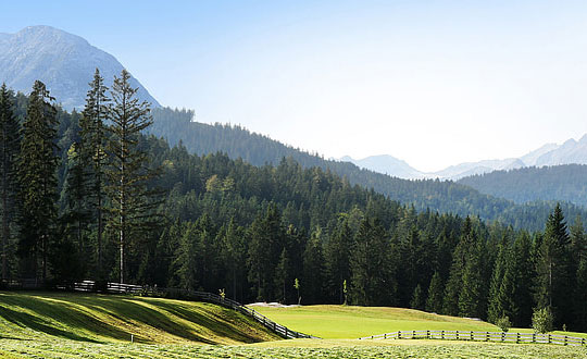 2020最新最特別乳名