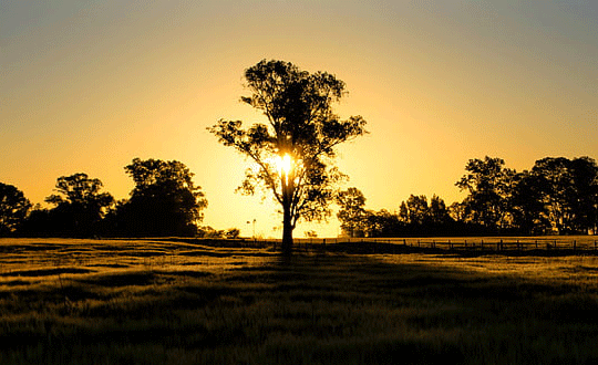 立身先正名，溫柔大方的女孩子名字