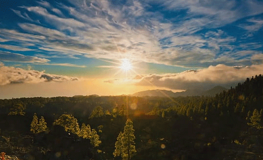 好聽(tīng)的游戲名字男,男生好聽(tīng)的游戲名字