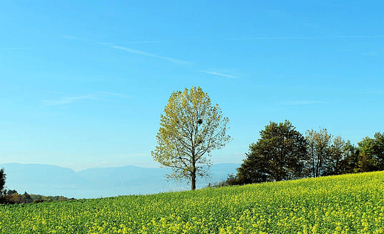 4個字好聽的游戲名字女