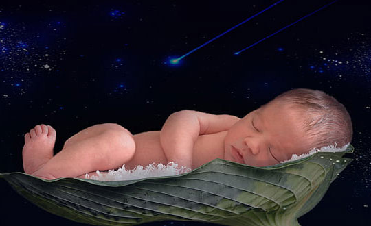 2020年詩意美好的狗年寶寶名字大全