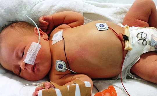 獨特內(nèi)涵的寶寶名字，新生兒名字大全：文雅吉祥的女孩名字