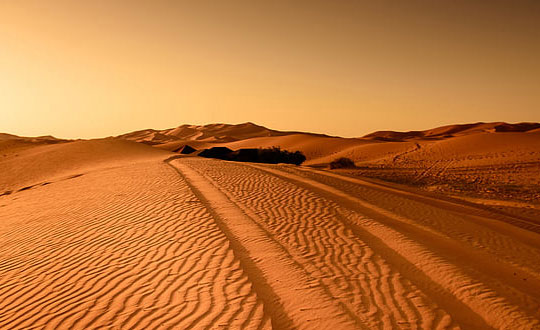 新生兒寶寶取名大全免費時尚內涵：文雅經典字