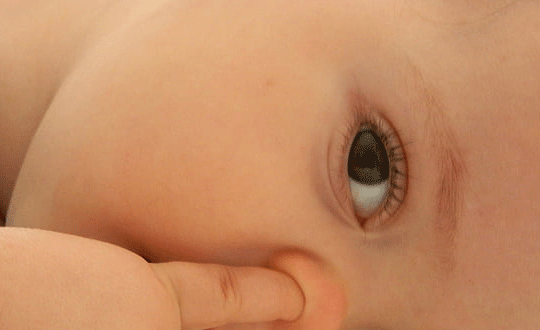 草字頭寓意比較好的字，起出來的名都很小清新