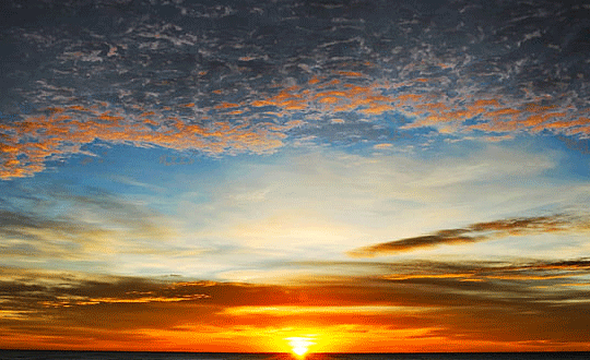 英雄聯盟網名英文