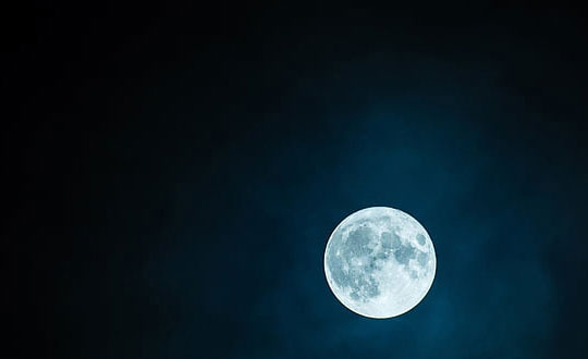 最新女孩名字優(yōu)雅動人