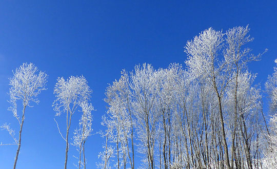 女孩聰明有涵養的名字,郎朗上口的女孩名字：儒雅有詩意