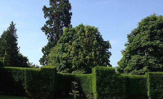 女孩詩經名字,女孩詩經取名大全：起名思路參考