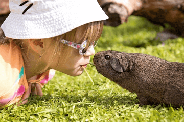 有創意的乳名調皮女孩