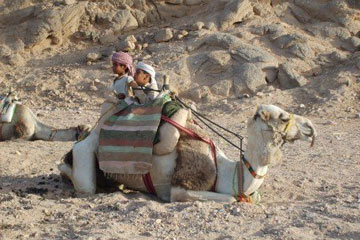 有涵養(yǎng)好聽(tīng)的寶寶名字