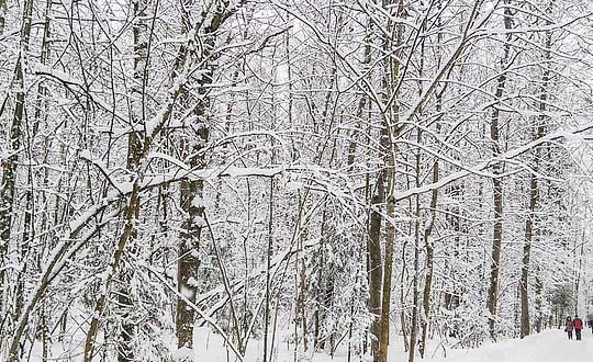 比較好聽(tīng)的游戲名字女