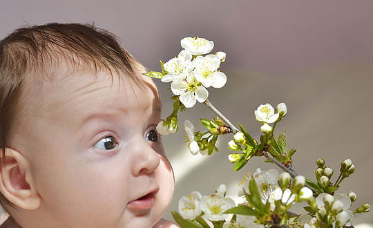 新生兒寶寶詩意有涵養的名字：寓意美好的寶寶名字大全參考