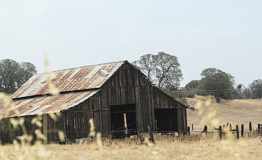寓意好大氣的男孩名字 順口大氣的男孩名字大全：涵養有詩意