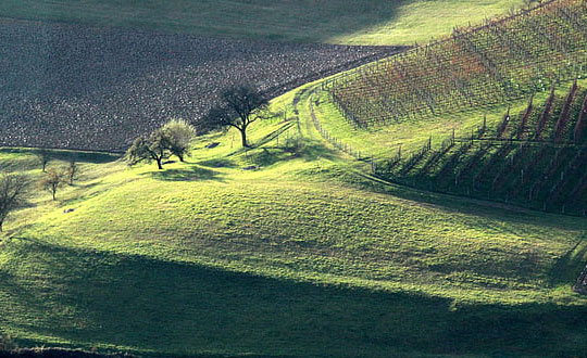  男孩獨特少見的名字,沉穩大氣男孩名字