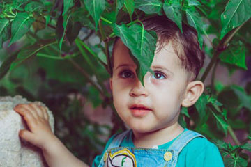 寶寶取名生辰八字五行查詢免費