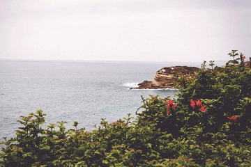 一看就暖心的網(wǎng)名,特別好聽(tīng)