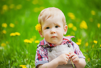 李姓帶木或火字的女孩名，寓意美好，筆畫吉祥