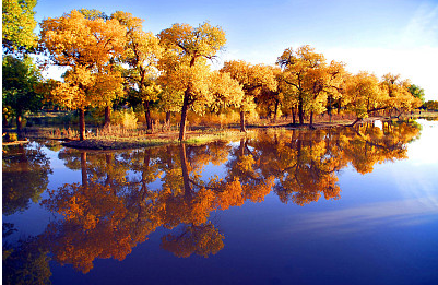 20款的古風昵稱,瞬間讓你的微信穿越回古代!