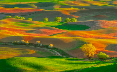 情緒化ID ，一眨眼就破碎