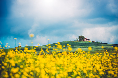 爸媽看了都夸你成熟穩(wěn)重的網名
