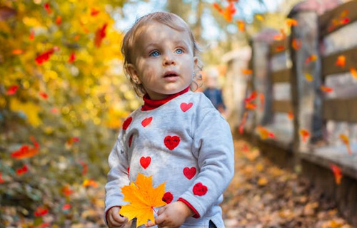 2025莫姓好聽稀少的女孩名字有哪些？