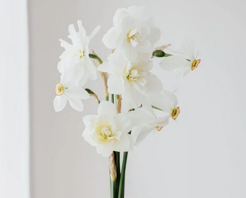 簡約ins風工作室名字有哪些？