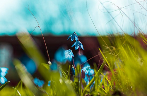 ins風小眾網名英文