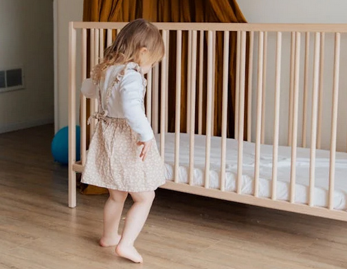 取自詩經中越念越好聽的寶寶小名分享