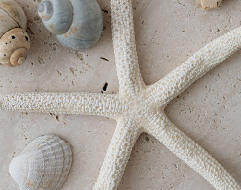 姓羅有氣質的男孩名字大全，收藏留著給寶寶起名用