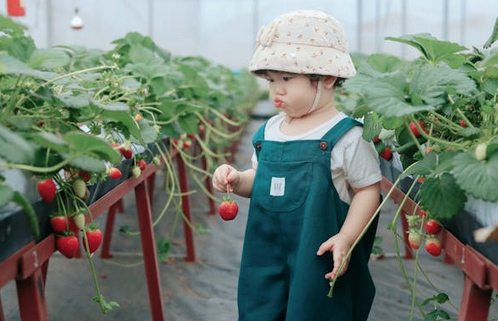 常姓起名，常姓好聽稀少的男孩名字大全