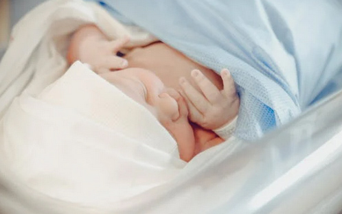 2025女孩起名，蛇年女孩子名字取名大全