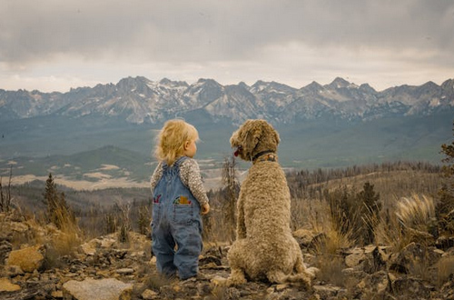 男孩起名，楊姓男孩取名豪爽大氣
