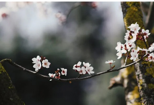 小眾ins風英文網名