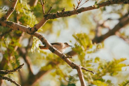 網(wǎng)名起名 | 2025新版的網(wǎng)名分享