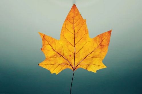 好記的食品店鋪名字分享，好聽又好記，吸引食客駐足品嘗