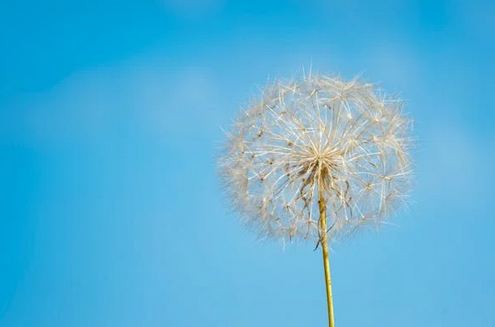 分享46個一輩子不想換的網名可愛的（2025版）