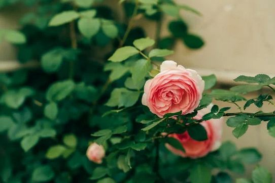 店鋪取名，2025新潮流的店名推薦