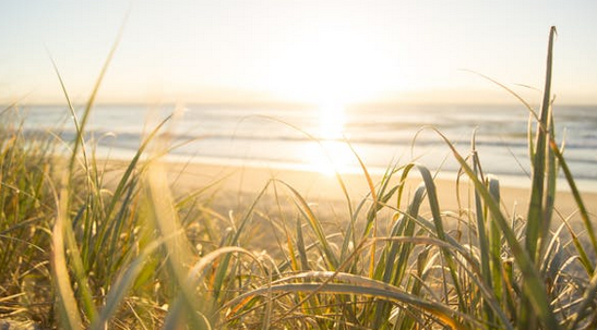 微信名起名:雅到心坎里，不俗的微信昵稱