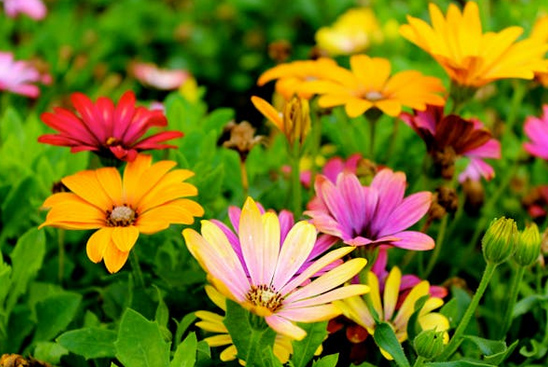 網名大全網,比水還干凈的兩字網名昵稱