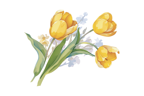 網名大全丨永不過時的經典網名集