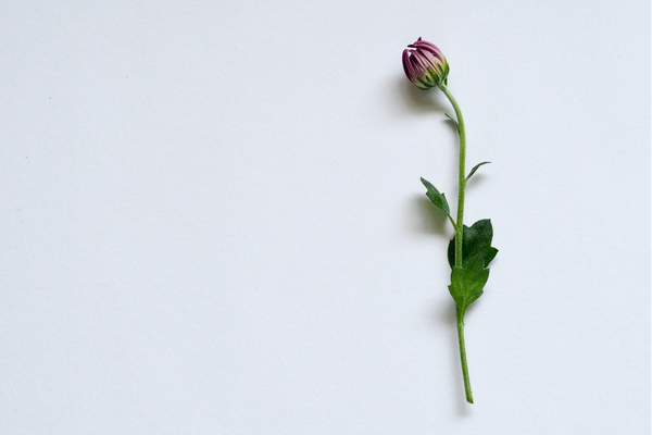 名字大全,特別吸引人的戰隊名字大全分享