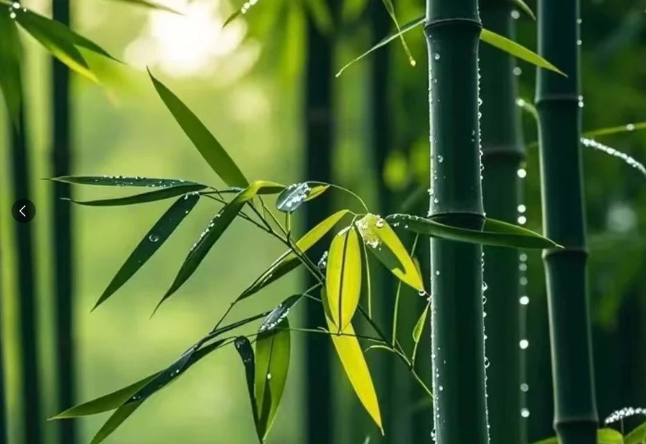 好聽聚財氣的公司名字推薦