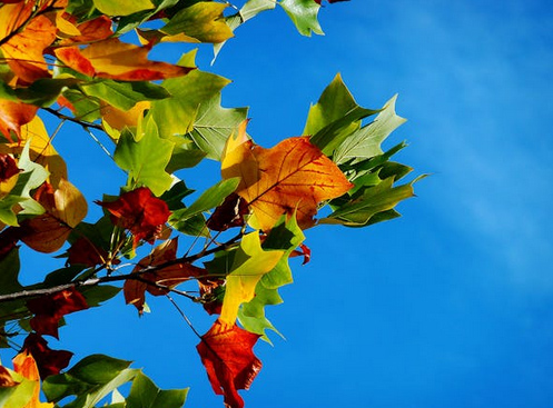 店鋪起名丨藥房好聽的名字大全