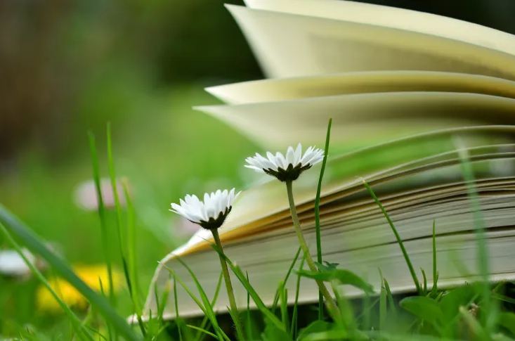 四字網(wǎng)名女生唯美簡(jiǎn)單好聽(tīng)