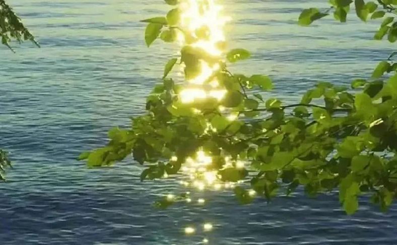 2025必火的男裝店，很值得一看