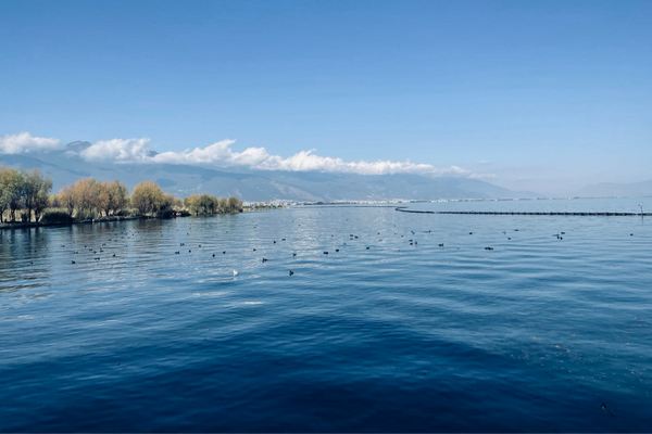 閨蜜網(wǎng)名大全2020特別新版的