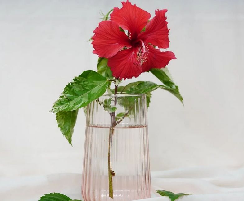 取一個長期不換的寓意網名