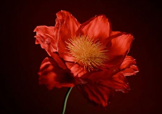 男生干凈網名二字 男生微信網名