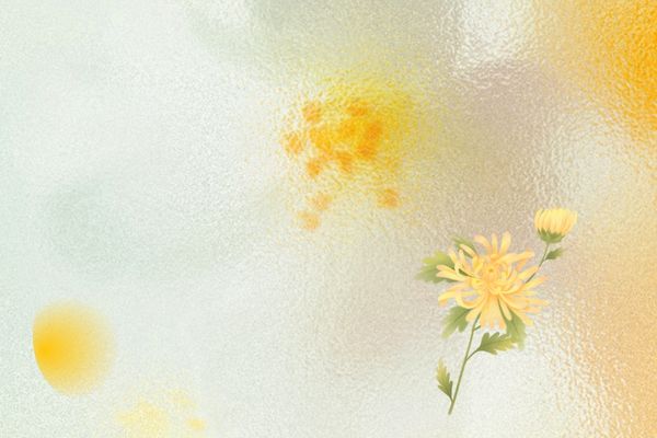 公司起名丨貿易公司名稱大全簡單大氣